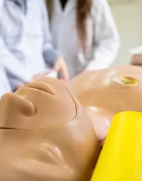 500+ Çalışanlı İşyerleri İçin OED Zorunluluğu